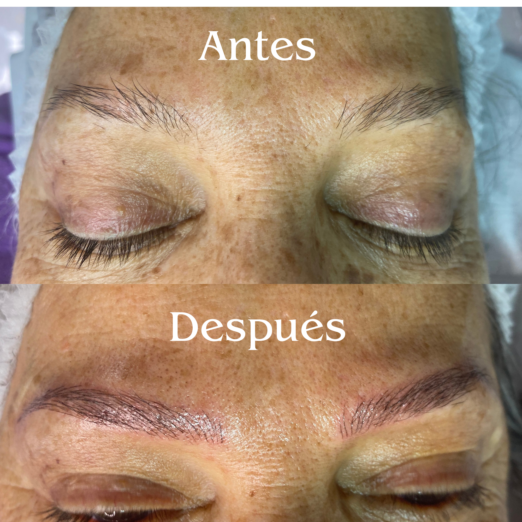 CEJAS PELO A PELO